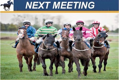 NEXT RACE