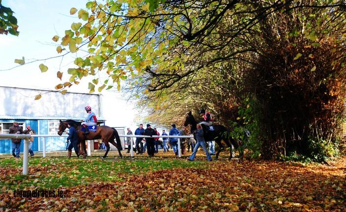 Clonmel (1-11-12)1